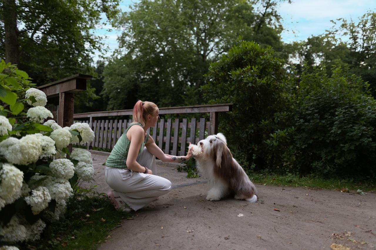 Hundeschule Glückspfotenschmiede Düsseldorf